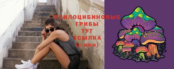 сатива Волосово