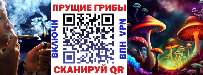 купить наркоту  Иваново  Галлюциногенные грибы Magic Shrooms 
